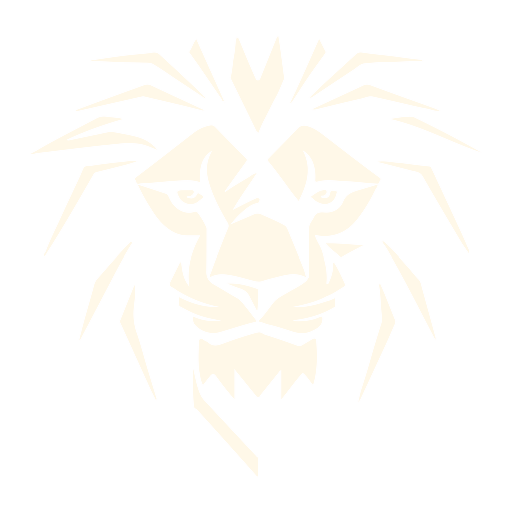 Virtual Futbol Academy crest